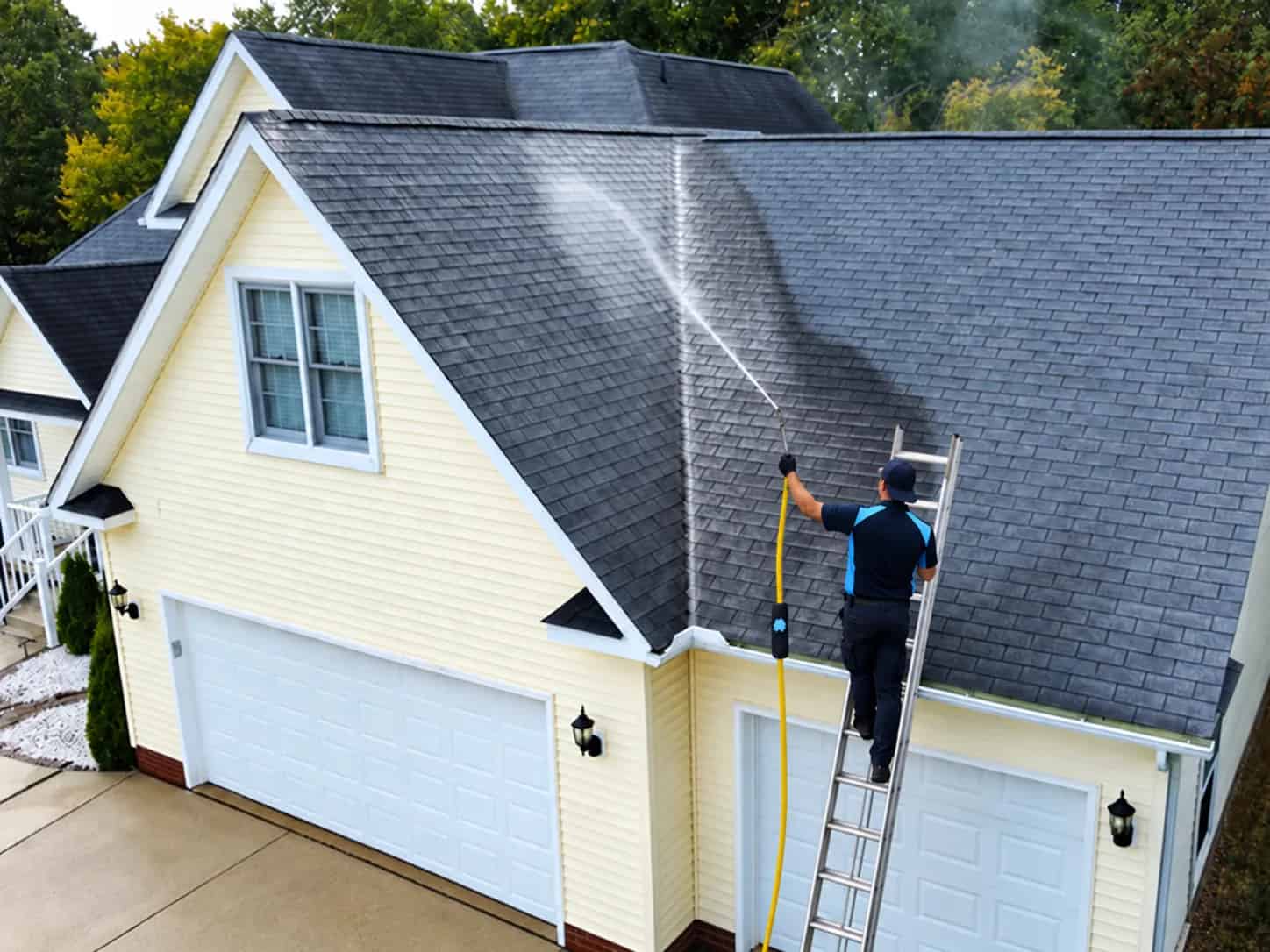 Roof Washing image