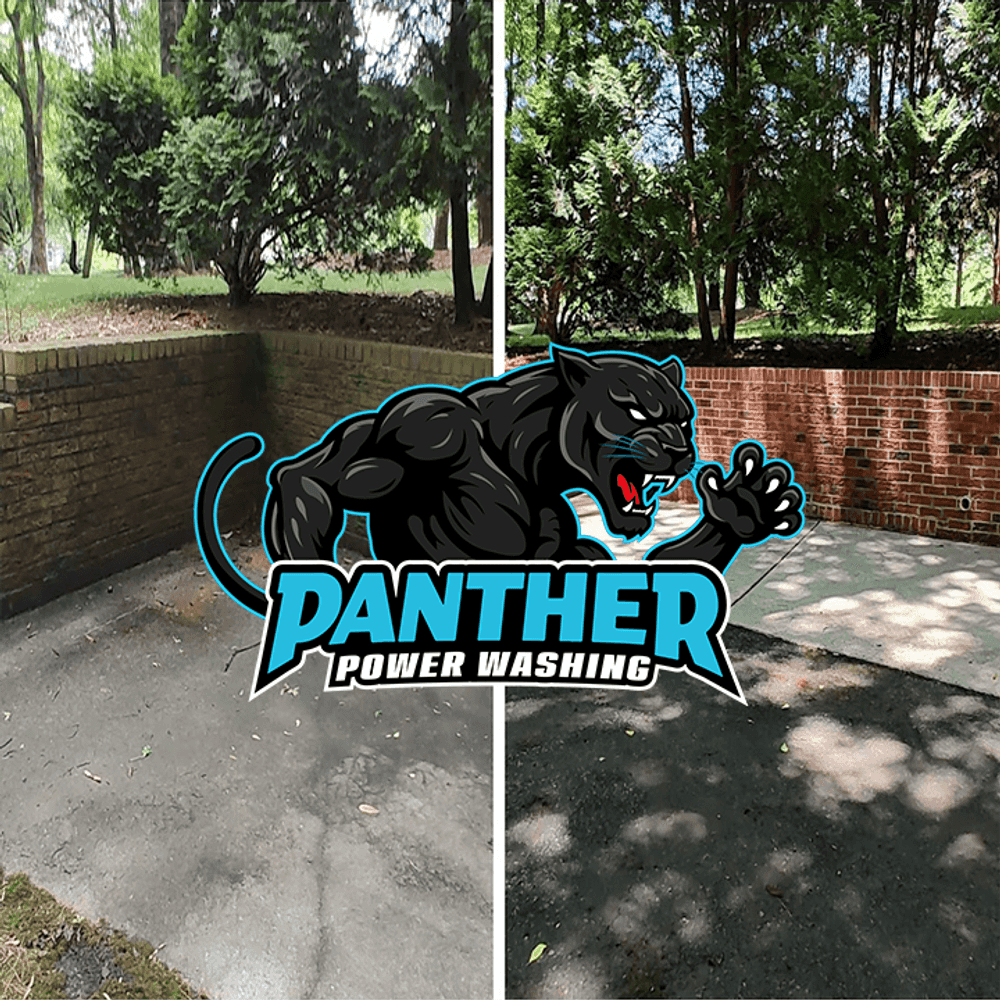 Pressure Washing image