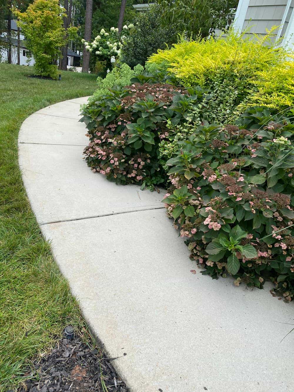 Hero image for Panther Power Washing