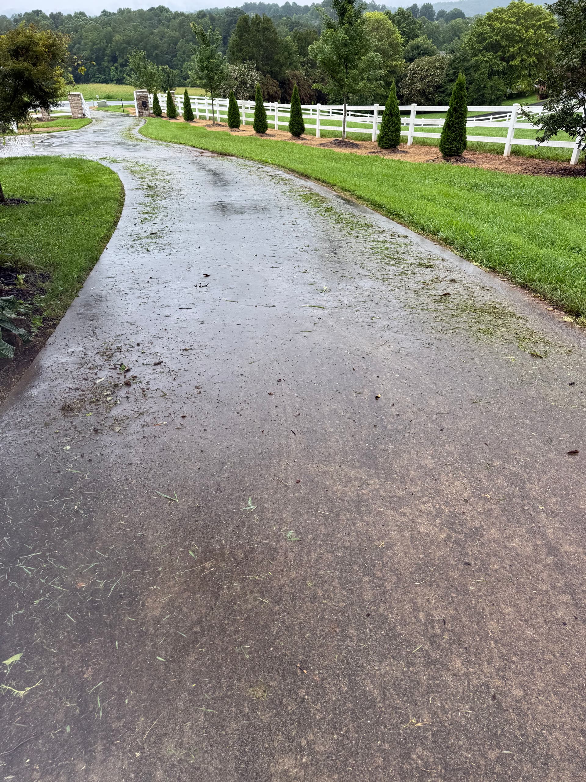 Driveway Sparkle Restored with Expert Cleaning image