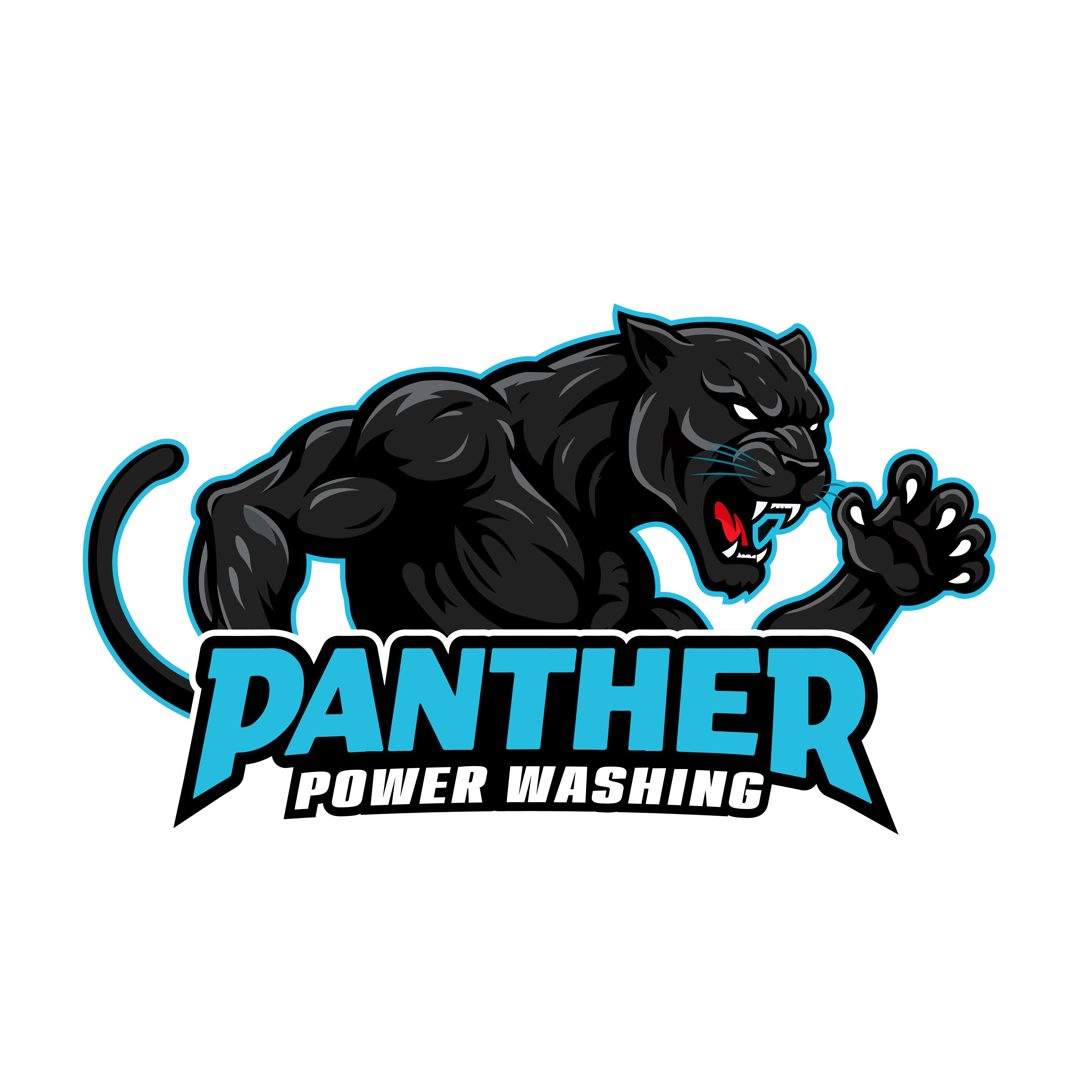 panther power washing